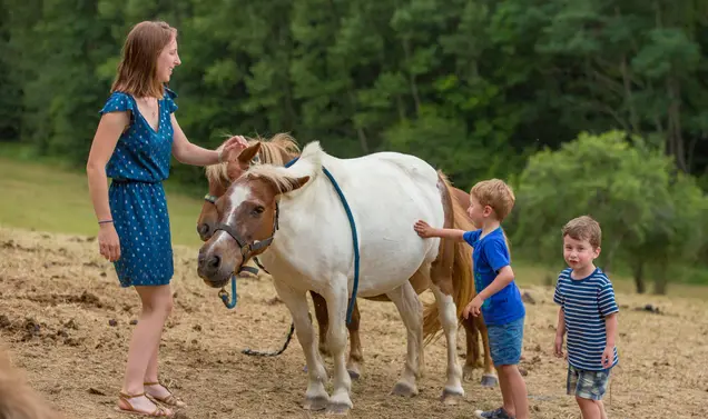Enfants et poney