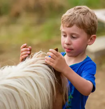 Balade à poney dans le Tarn