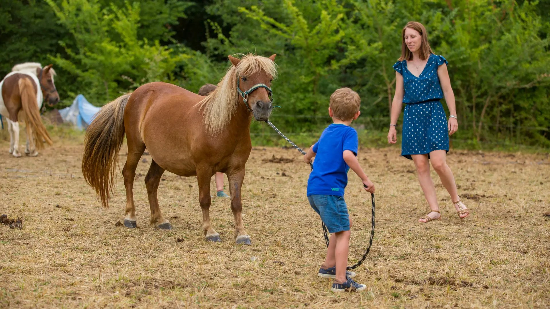 Balade à poney dans le Tarn