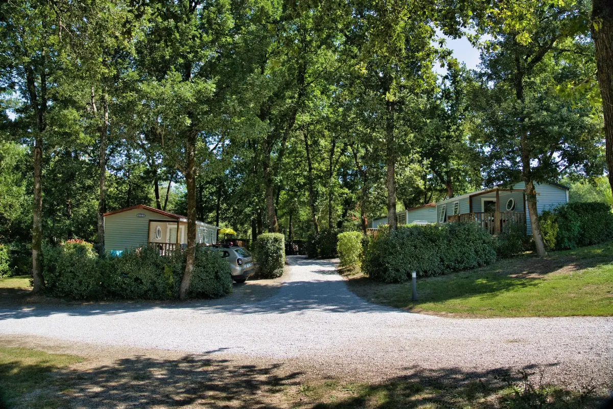 Allée du camping