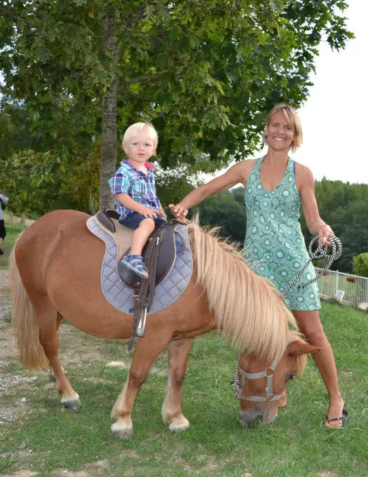 Poney du camping