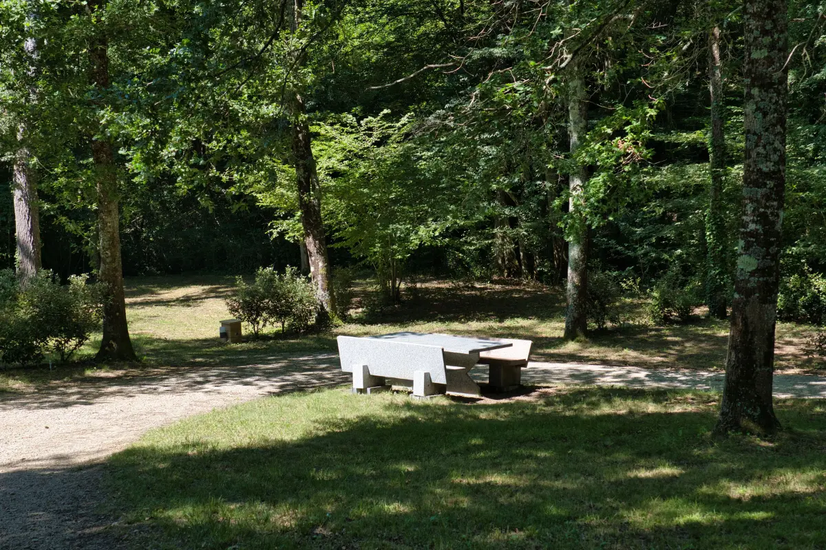 Emplacement clairière Tarn