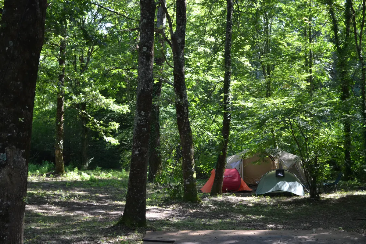 Emplacement clairière